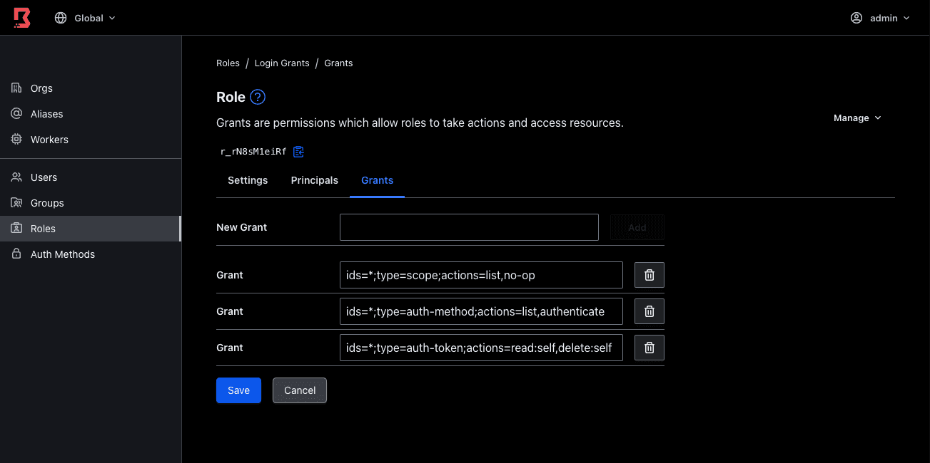 Boundary UI grants view