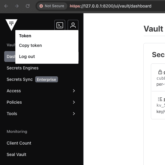 Vault UI showing the user menu open with the copy token and log out functions
visible